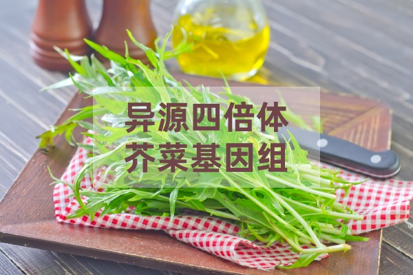 芥菜基因組