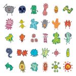 數(shù)據(jù)上傳SRA之：微生物多樣性