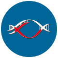 真核生物無參考基因組的轉(zhuǎn)錄組分析平臺
