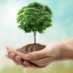 宏基因組發(fā)現(xiàn)微生物特征決定了土壤碳排放，以響應整個生物群落森林中的新鮮碳輸入
