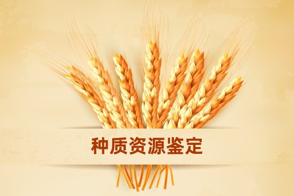 種質(zhì)資源精準鑒定