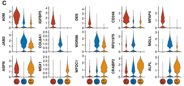 圖2單細胞RNA測序(sc?RNAseq)數(shù)據(jù)揭示了馬間充質基質細胞(MSCs)的源間變異
