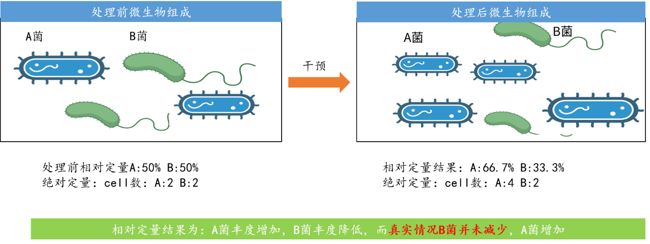 微生物/16S/細(xì)菌/擴(kuò)增子絕對(duì)定量