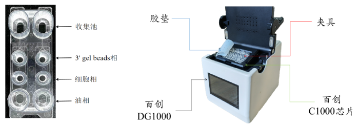 圖1：百創(chuàng)C1000芯片結(jié)構(gòu)（左圖）；百創(chuàng)DG1000微液滴生成儀（右圖）