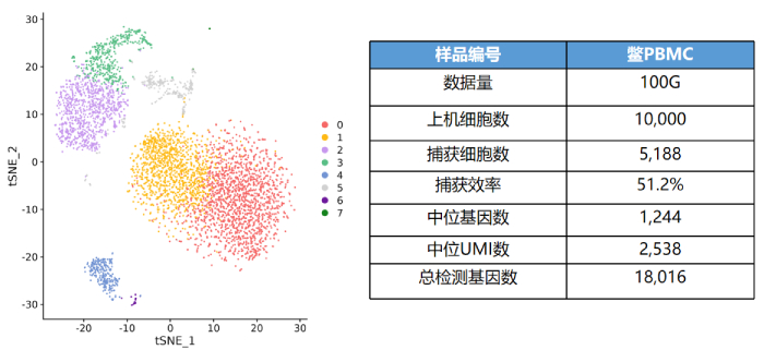 鱉PBMC