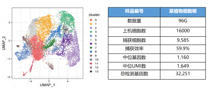 某植物細(xì)胞核