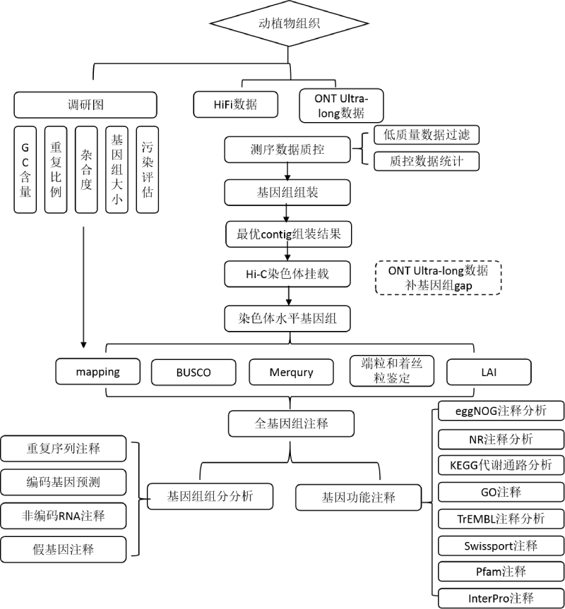 T2T基因組技術(shù)路線