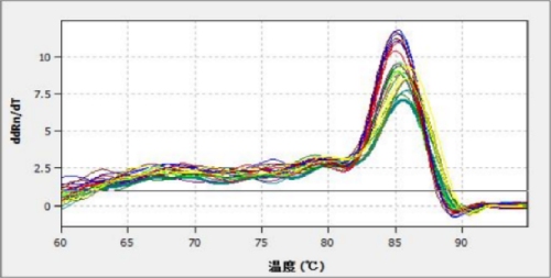 目的基因的溶解曲線