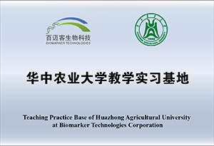 網(wǎng)站牌匾