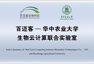 網(wǎng)站牌匾